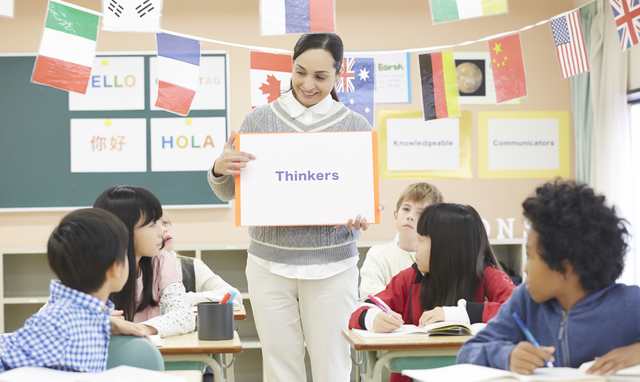 教育環境:インターナショナルスクールと公立校の選択肢